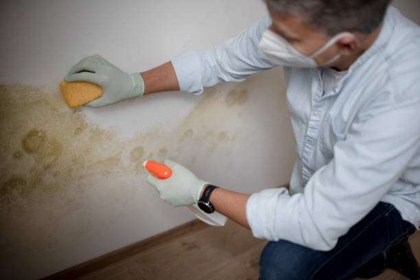 Best Mold Testing  in Geva, NE