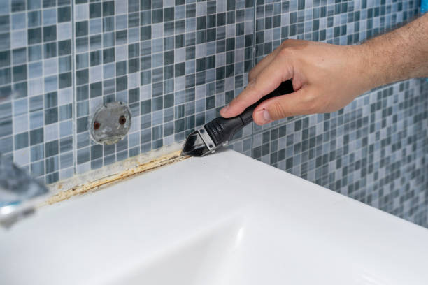 Best Professional Mold Removal  in Geva, NE