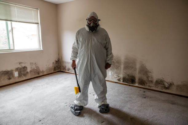 Trusted Geneva, NE Mold Removal Experts